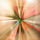 Illustration for article titled Zoom Photo Challenge Gallery 2